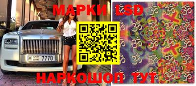 винт Краснодар