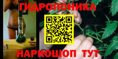 винт Краснодар