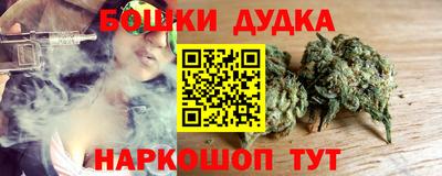 гидра Краснокаменск
