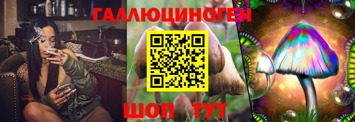 Балтийск  Галлюциногенные грибы Magic Shrooms  Вход с VPN  Галлюциногенные грибы Psilocybine cubensis 