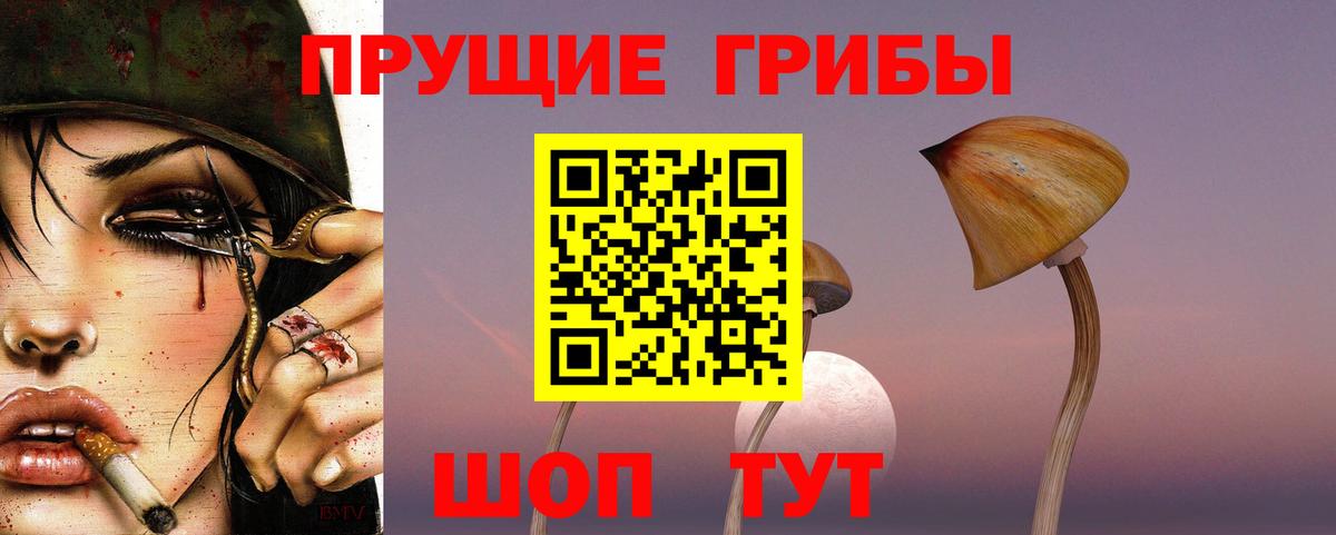 Псилоцибиновые грибы Cubensis Балтийск